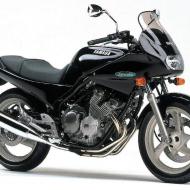 Yamaha Diversion