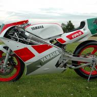 Yamaha TZ 250