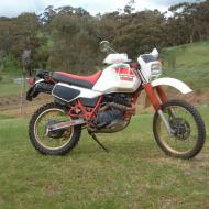 Yamaha XT 600 Tenere (reduced effect)