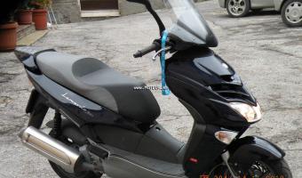 2006 Aprilia Leonardo 300 #1