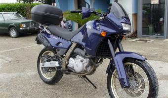 1996 Aprilia Pegaso 650 #1