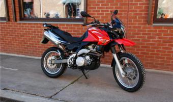 2010 Aprilia Pegaso 650 #1