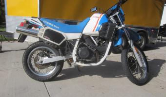 1987 Cagiva 650 Elefant #1