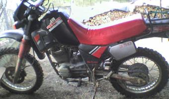 Cagiva SX 350 Ala Rossa