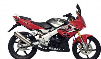 2011 Demak Smart MTX