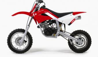 2009 Derbi Dirt Boy 50