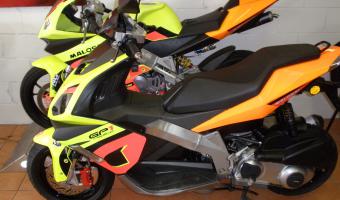 2009 Derbi GP1 250 Racing #1