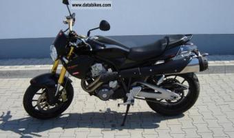 2009 Derbi Mulhacen Cafe 659 #1