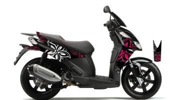 2010 Derbi Rambla 250i #1