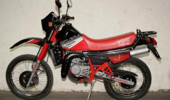 Gilera RX 125 Arizona