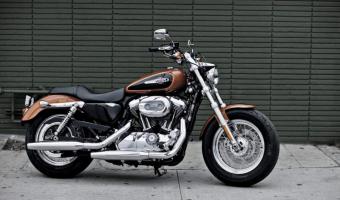 2013 Harley-Davidson 1200 Custom 110th Anniversary #1