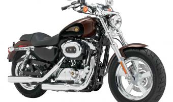 Harley-Davidson 1200 Custom 110th Anniversary