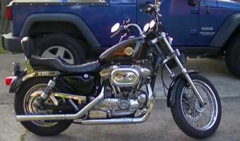 1993 Harley-Davidson 1200 Sportster #1