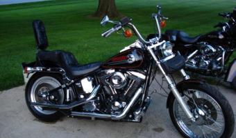 1994 Harley-Davidson 1340 Heritage Softail Custom #1