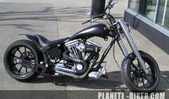 1994 Harley-Davidson 1340 Softail Custom #1