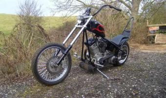 Harley-Davidson 1340 Springer Softail (reduced effect)
