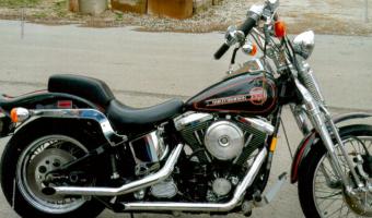 1989 Harley-Davidson 1340 Springer Softail #1