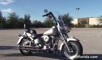 1990 Harley-Davidson Fat Boy