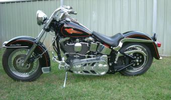 Harley-Davidson FLSTC Softail