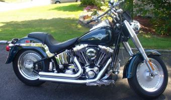 2002 Harley-Davidson FLSTFI Fat Boy #1