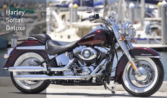 Harley-Davidson FLSTNI Softail Deluxe