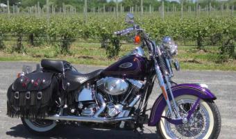 2000 Harley-Davidson FLSTS Heritage Springer #1