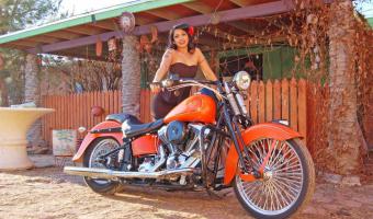 Harley-Davidson FLSTSC Softail Springer Classic