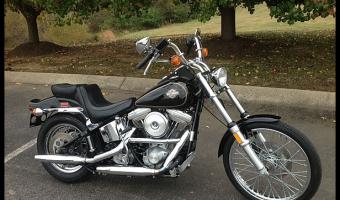 1984 Harley-Davidson FXST 1340 Softail