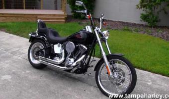 2007 Harley-Davidson FXSTC Softail Custom #1