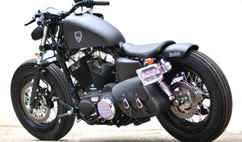 2014 Harley-Davidson Sportster Forty-Eight Dark Custom #1
