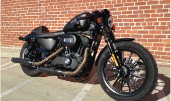 2011 Harley-Davidson Sportster XL883N Iron 833 #1