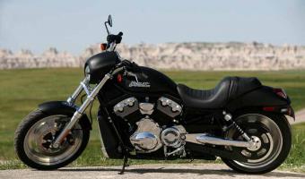 2006 Harley-Davidson VRSCD Night Rod #1