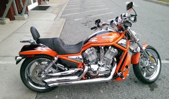 Harley-Davidson VRSCSE Screamin Eagle V-Rod