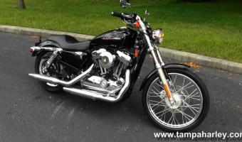 2010 Harley-Davidson XL1200C Sportster 1200 Custom #1