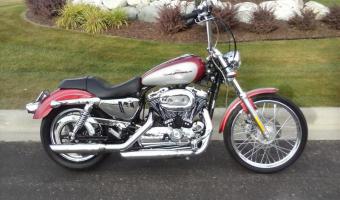 2004 Harley-Davidson XL1200C Sportster Custom