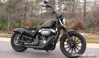 2010 Harley-Davidson XL1200N Sportster 1200 Nightster #1