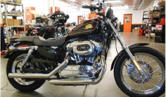 2007 Harley-Davidson XL50 50th Anniversary Sportster