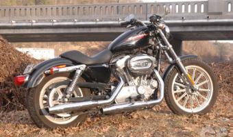 2004 Harley-Davidson XL883 Sportster #1