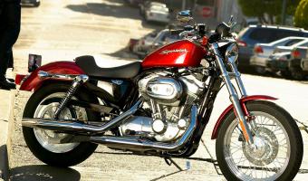 2005 Harley-Davidson XL883 Sportster #1