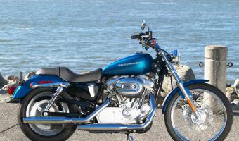 2005 Harley-Davidson XL883C Sportster Custom #1