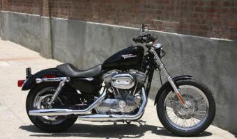 2008 Harley-Davidson XL883C Sportster #1
