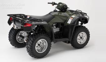 2009 Honda FourTrax Foreman Rubicon #1