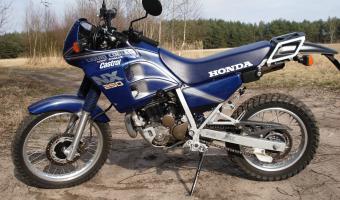 1989 Honda NX250 #1