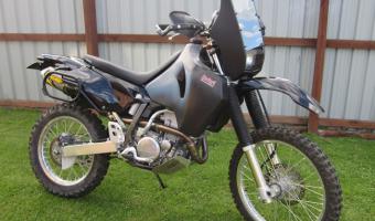 1989 Honda NX650 Dominator (reduced effect) #1