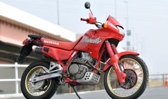 1989 Honda NX650 Dominator #1