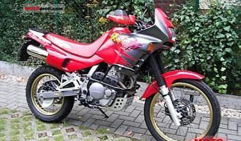 1995 Honda NX650 Dominator #1