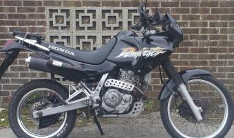 2003 Honda NX650 Dominator