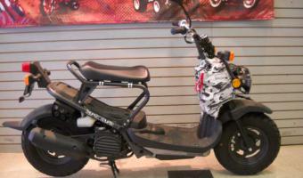 2006 Honda Ruckus