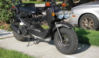 2007 Honda Ruckus #1