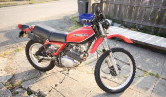 1981 Honda XL185S (reduced effect) #1